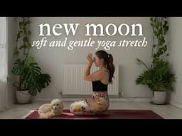 Soft & Gentle | NEW MOON FLOW 💫
