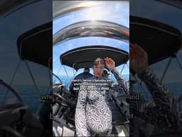 can you freedive at 7 months pregnant?
