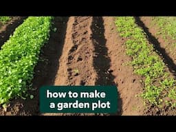 Paano Gumawa ng Plot | How to layout garden plot #garden #gardening #fertilizer #plants #mulching