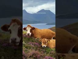 Discovering the Breathtaking Skye Trail in Scotland