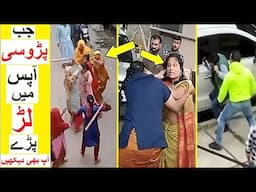 Neighbours Caught Fighting with Each other