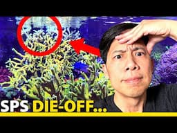 YEP. IT'S HERE. SPS die-off, lol.  (is this what you were waiting for?)