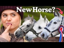 I am going to get NEW HORSE?