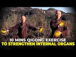 10-Minute Qigong Exercise for Organ Health & Energy Circulation | Thich Man Tue