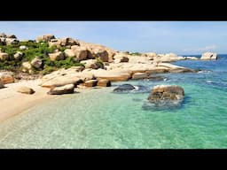 Jazz Coffee by the Tropical Beachside 🌴 Gentle Waves & Uplifting Bossa Nova Melodies for Vacation