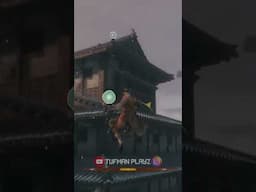 They Were In kites. #sekiro #sekiroshadowsdietwice #tufmanplayz