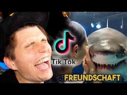 Paluten guckt TikToks bis er vom AI Hai gefressen wird