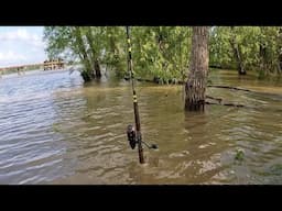 This Was Crazy, Catfish Fishing Mississippi River Flood Waters