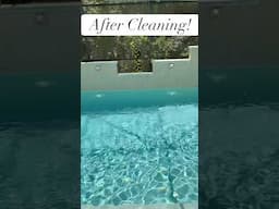 ☀️SPLASH INTO SUMMER With A SPOTLESS POOL!