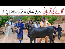 Eid Mubarak 2025 | Ramzi,Noori, Bilo ,Bhootna,Shoki, Sanam, Falak Sher,Funny Video  Rachnavi Tv