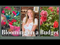 Frugal Gardening in Hard Times: How I’m Creating Beauty on a Budget