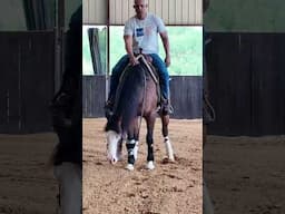 Watch Blue Thunder Get in the Zone 🐴〽️