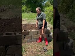 American Ninja Warrior Rabbit #shorts #rabbit #funny
