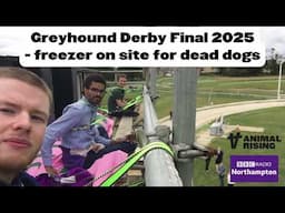 Geryhound Derby Final Buildup | Claudia Penna Rojas on BBC Radio Northampton | 13 June 2025