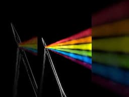 Indoor Macro Photography Ideas: The Dark Side of the Needle