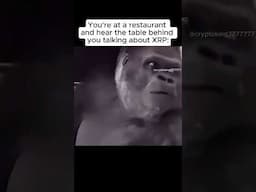 You're at a restaurant and hear the table behind you talking about XRP: #XRP #xrparmy #ripple