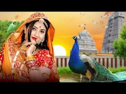 इस भजन के पीछे पूरी दुनिया दीवानी हो गई - kanchan Wali Kaya | Chetawani Bhajan 2025