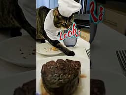Cat Food?#comfortfood #cooking #food #shorts