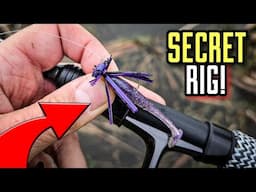 SNEAKY Ultralight Rig SMASHED Shallow Pond Bass!