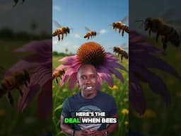 Some plants “hear” buzzing bees and make sweeter nectar. Truth or Trash Episode 262 #biology.