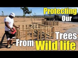 NO $$$ TO BUILD A FENCE? DO THIS INSTEAD! CHEAP DIY PALLET FENCE! DAY IN THE LIFE OFF GRID VLOG!