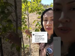 CHILL HOURS! what trees can you grow in your area? #fruittrees #garden #growyourownfood #fruit #yt
