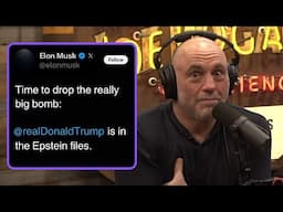Joe Rogan Reacts to Elon Musk vs Donald Trump Fallout