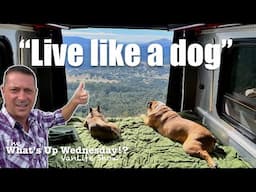 Solo Male Full-time Traveler Advice - 2 Dogs, 1 Man in Airstream Interstate 24X