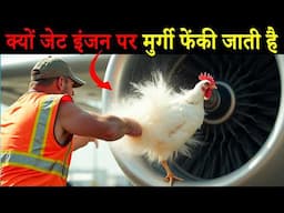 क्यों जेट इंजन पर मुर्गे फेंका जाता है Why Do Engineers Throw Chickens at Jet Engines