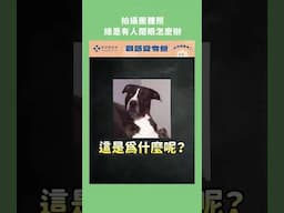 拍團體照，總是有人閉眼嗎？