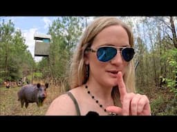 WILD HOG HUNTING NEW HACKS! Queen Hog Huntress' Secrets