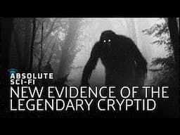 The Bizarre New Evidence Of The Legendary Cryptid | Pt. 3
