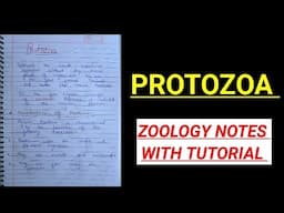 PROTOZOA IN HINDI #detailsofprotozoa #bsczoologynotes #bscnotes @ZOOLOGYNOTES