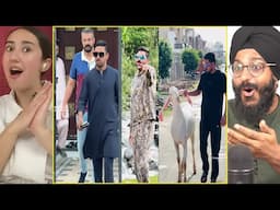 Indian Reaction to Mr Patlu Tiktoks | Leader of Tiktok | Raula Pao