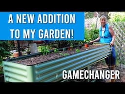 Maximize Your Small Space With the Vego Elevated Garden Bed!