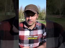 Off Grid Life Chaos: That Noise 😂🐓