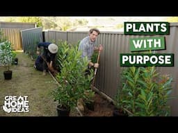 How To Grow The Ultimate Hedge | Episode | Great Home Ideas