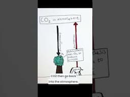 ♻️ The Carbon Cycle in 30 Seconds! 🌍 | Grade 9 GCSE Biology