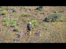 HIGH DESERT DRIFTER Living in His SUBARU?!?