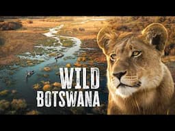Africa’s Ultimate Safari | The Okavango Delta (Botswana)