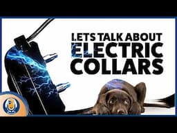 Let’s Talk About E-Collars: Why Dog Trainers Are So Divided #304 #podcast