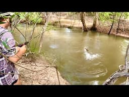 FOUND A BARRA WHOLE..CAPE YORK 2025..HANN RIVER