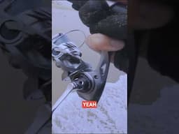 Huge benefit of a perch pouch for surf perch fishing in california  #fishingcalifornia
