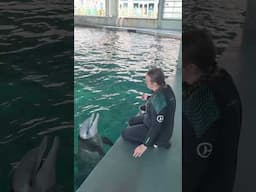 Dolphin Awareness Month - Izzy Spotlight