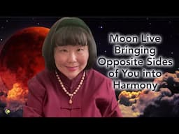 How to Bring Opposites of You into Harmony