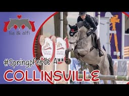 Lia & Alfi - Springpferde A** mit Collinsville in Werne