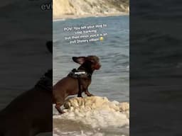POV: When your Dachshunds inner voice is an Evil Disney villain