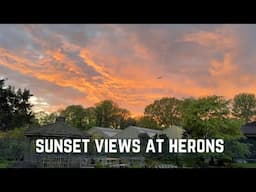 Sunset Views at Herons