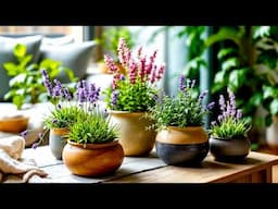 + 36 IDEAS Creative Seasonal Indoor Plant Projects SUPER BEAUTIFUL