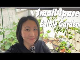 What's Growing in my Container Garden, Small Space, May Patio Tour